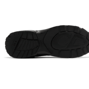 Dior B30 | Gray and Black