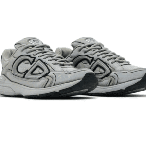 Dior B30 | Gray
