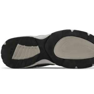 Dior B30 | Gray