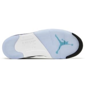 Air Jordan 5 Retro | Grape Sneaker