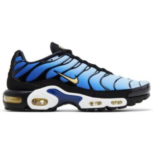 Nike Air Max Plus | Blue