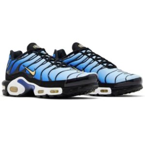 Nike Air Max Plus | Blue