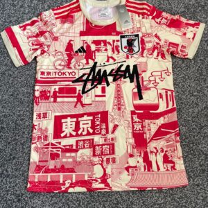 Adidas X Japan Stüssy