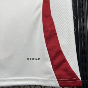 2024/2025 Japan Away Soccer Jersey
