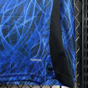2024/2025 Japan Blue Dragon Special Edition Football Jersey