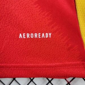 2024 Spain Home